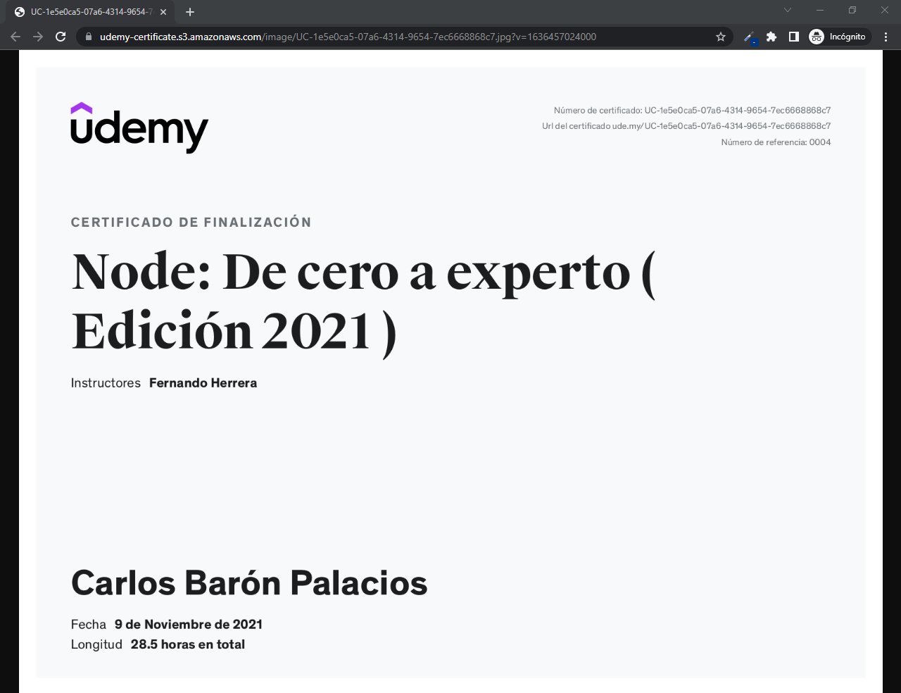 Imagen ampliada
